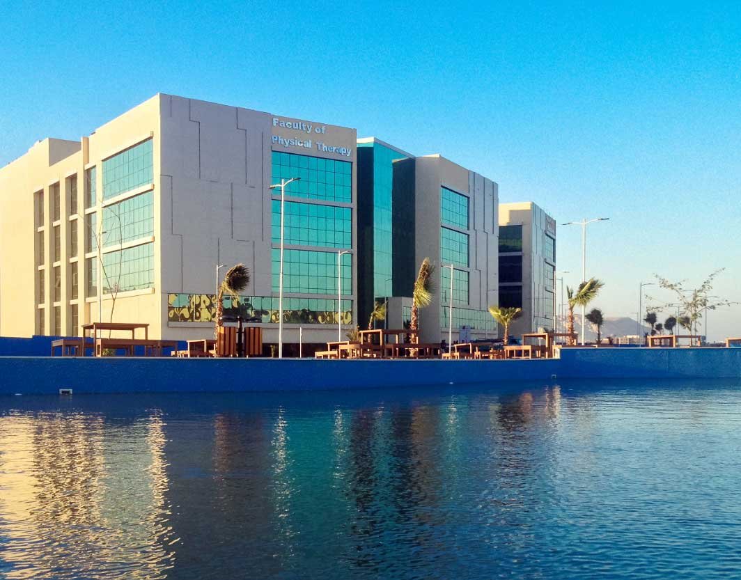 Read more about the article Merit University