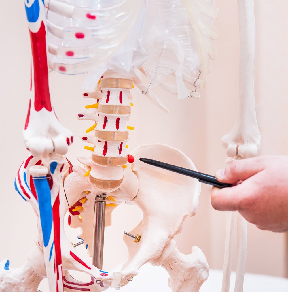 Read more about the article Faculty of Physical Therapy