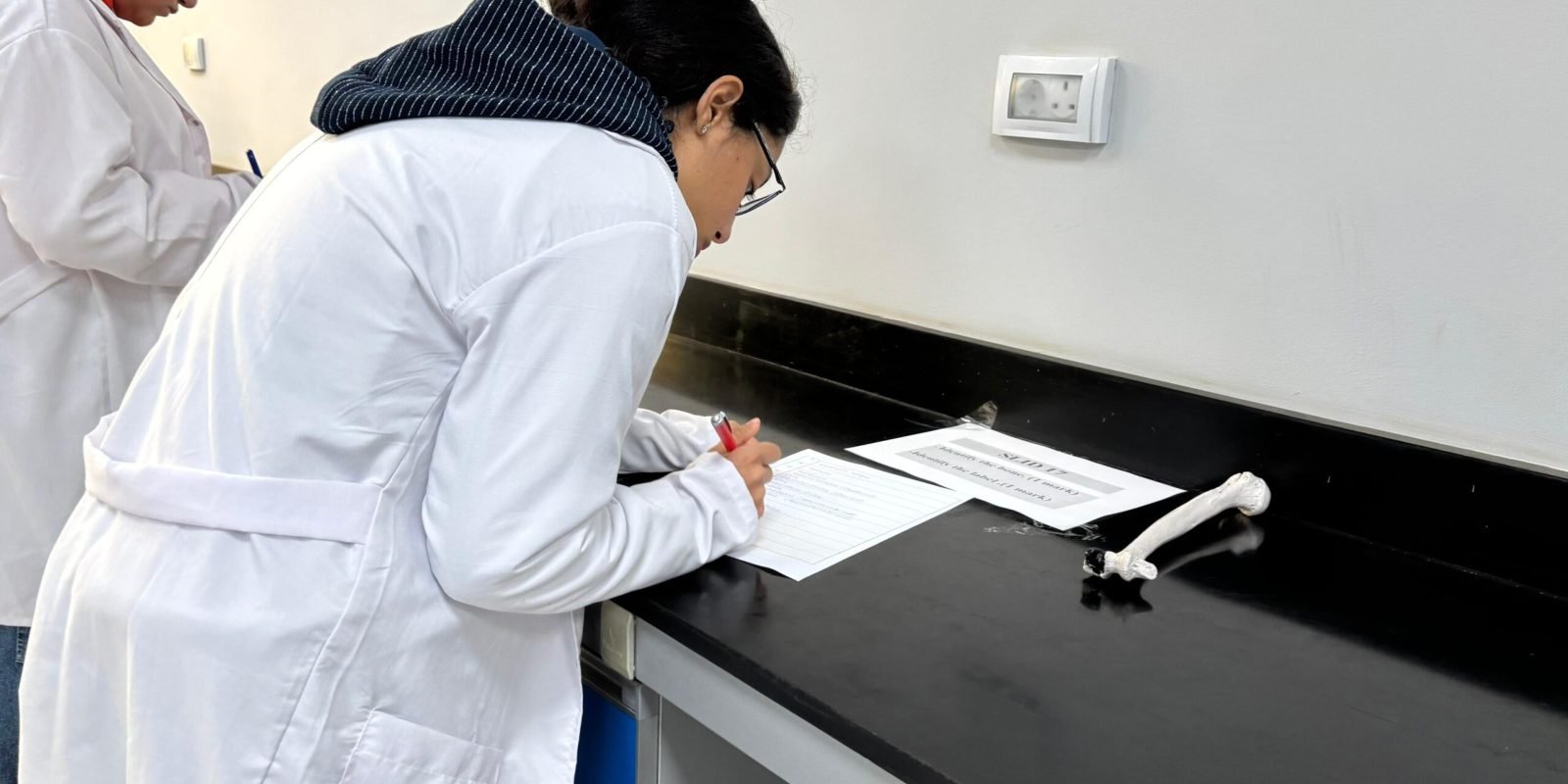 WhatsApp Image 2024-12-28 at 12.52.42 PM